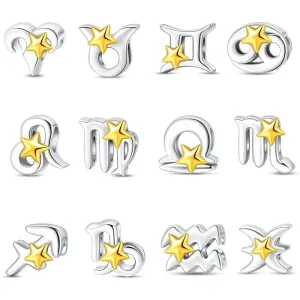 Astrology Signs Zodiac Constellation Charms