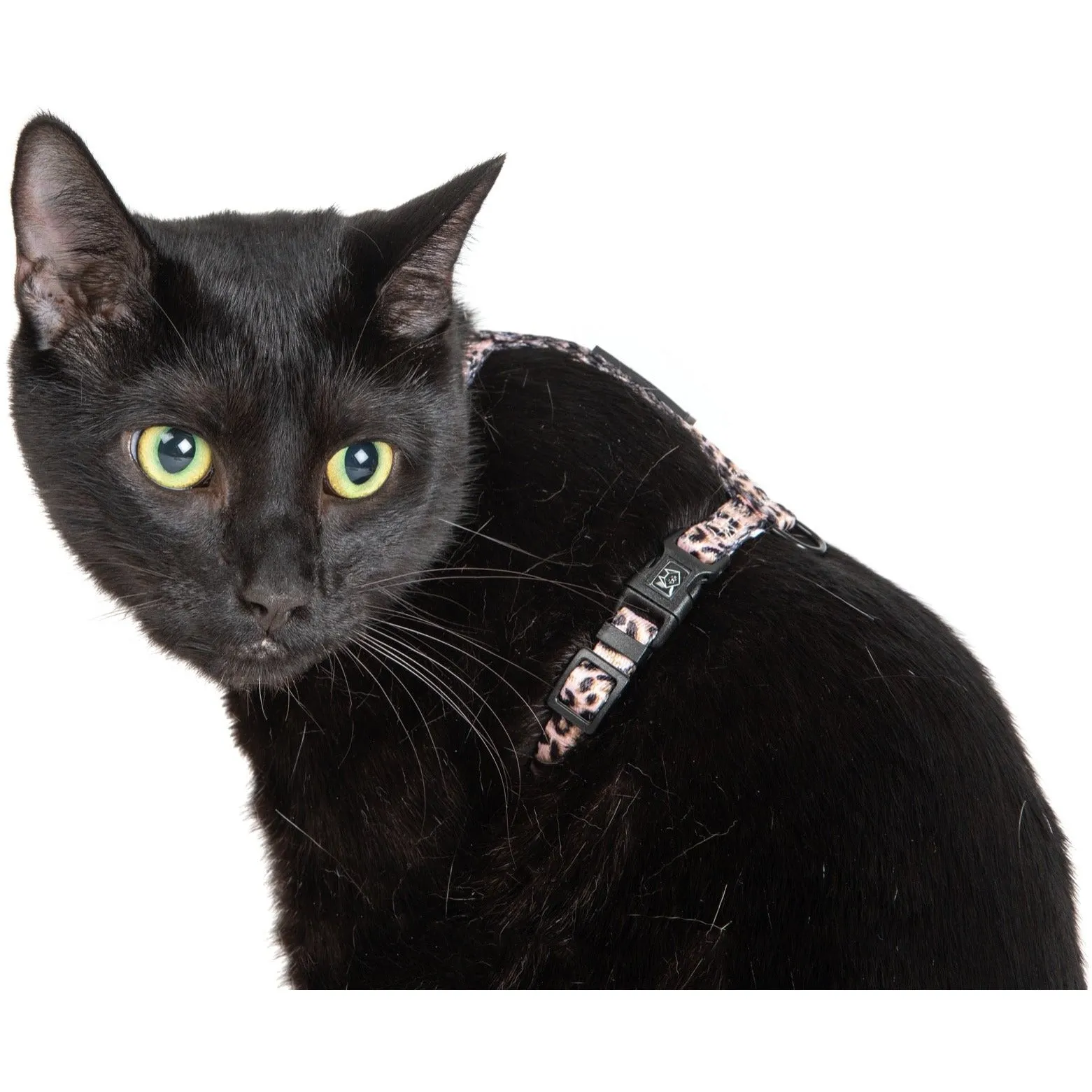 CAT STRAP HARNESS: Luxurious Leopard