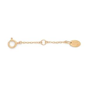 Delicate Chain Extender Gold