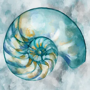 Elegant Shells IV