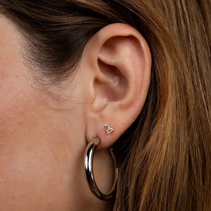 Everyday Hoop Earrings