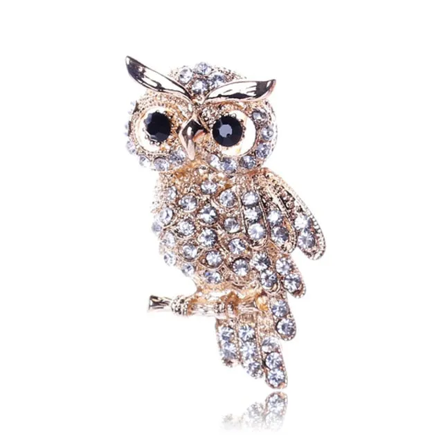Oh Wise One Owl Brooches