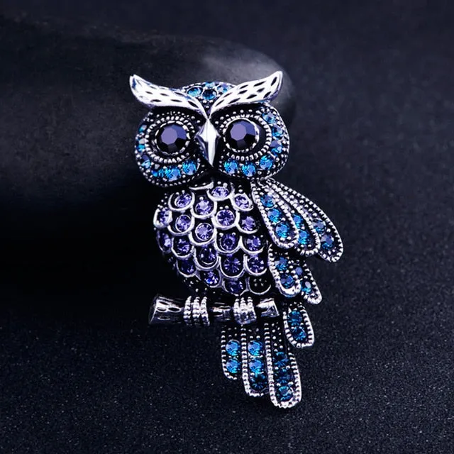 Oh Wise One Owl Brooches
