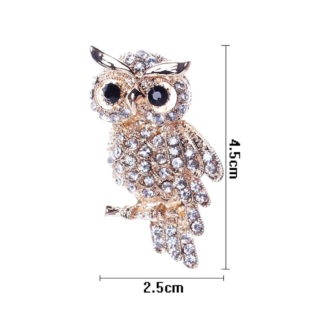 Oh Wise One Owl Brooches