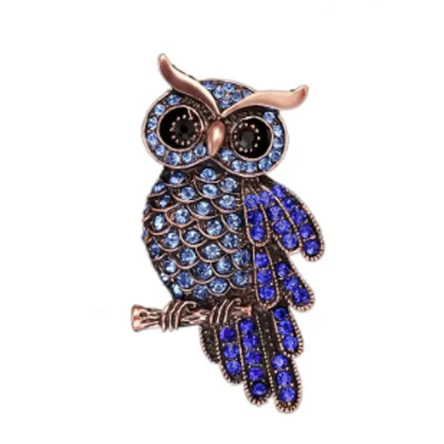 Oh Wise One Owl Brooches