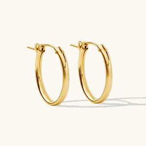 Oval Everyday Hoop Earrings