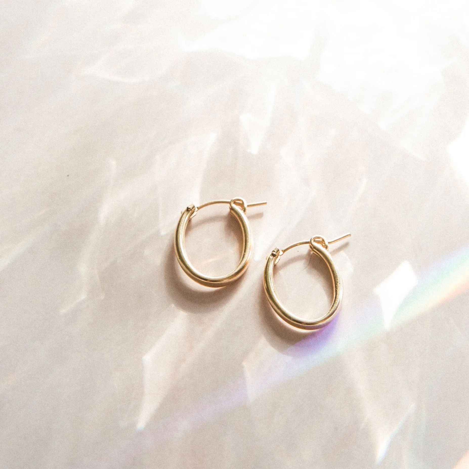 Oval Everyday Hoop Earrings