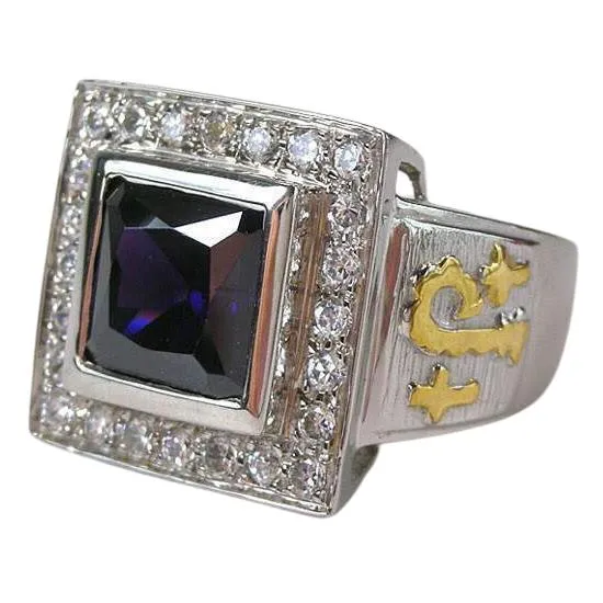 Princess Amethyst Silver Bishop Ring